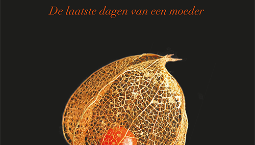 Lucht - De laatste dagen van een moeder