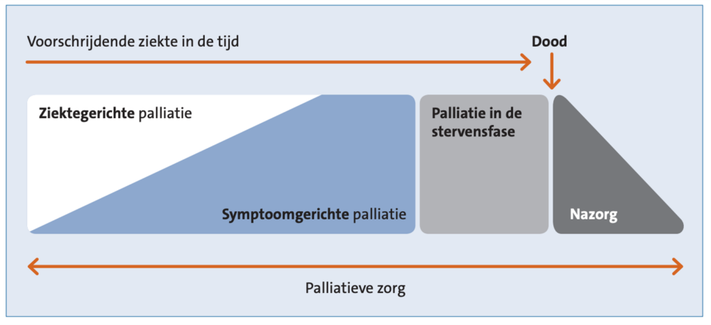 internationale dag van de palliatieve zorg: fasen