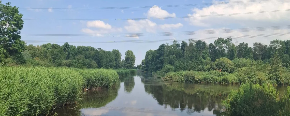 dichten bij rouw