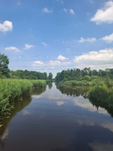 Dichten bij Rouw